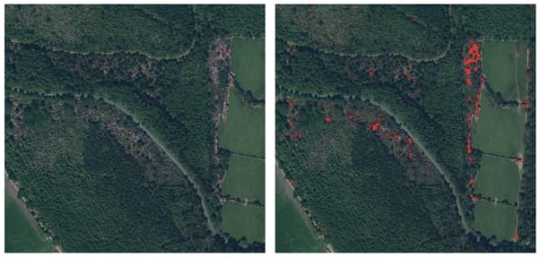 Vee Pass Ortho Image