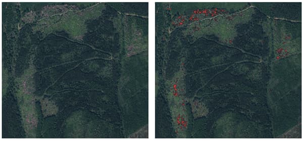 Vee Pass Ortho Image 2